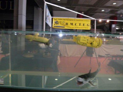 Le Laurena de Lolo et mon "Elastic" accompagnés du requin de l'Ile Bouchard