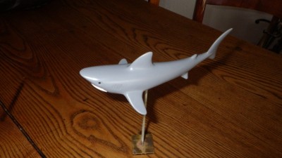 et le requin qui va avec