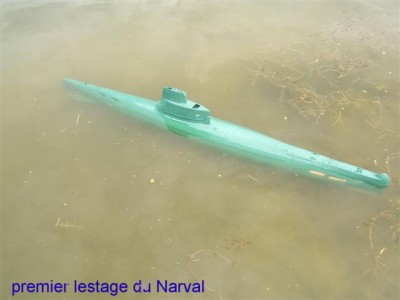 lestage du Narval.JPG