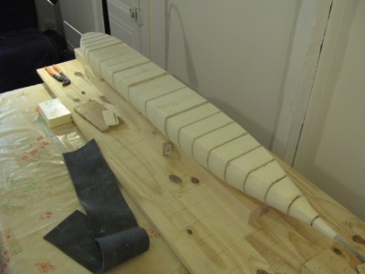 IMG_1773.JPG (132.04 Kio) Consulté 3069 fois vu du plan de flotaison